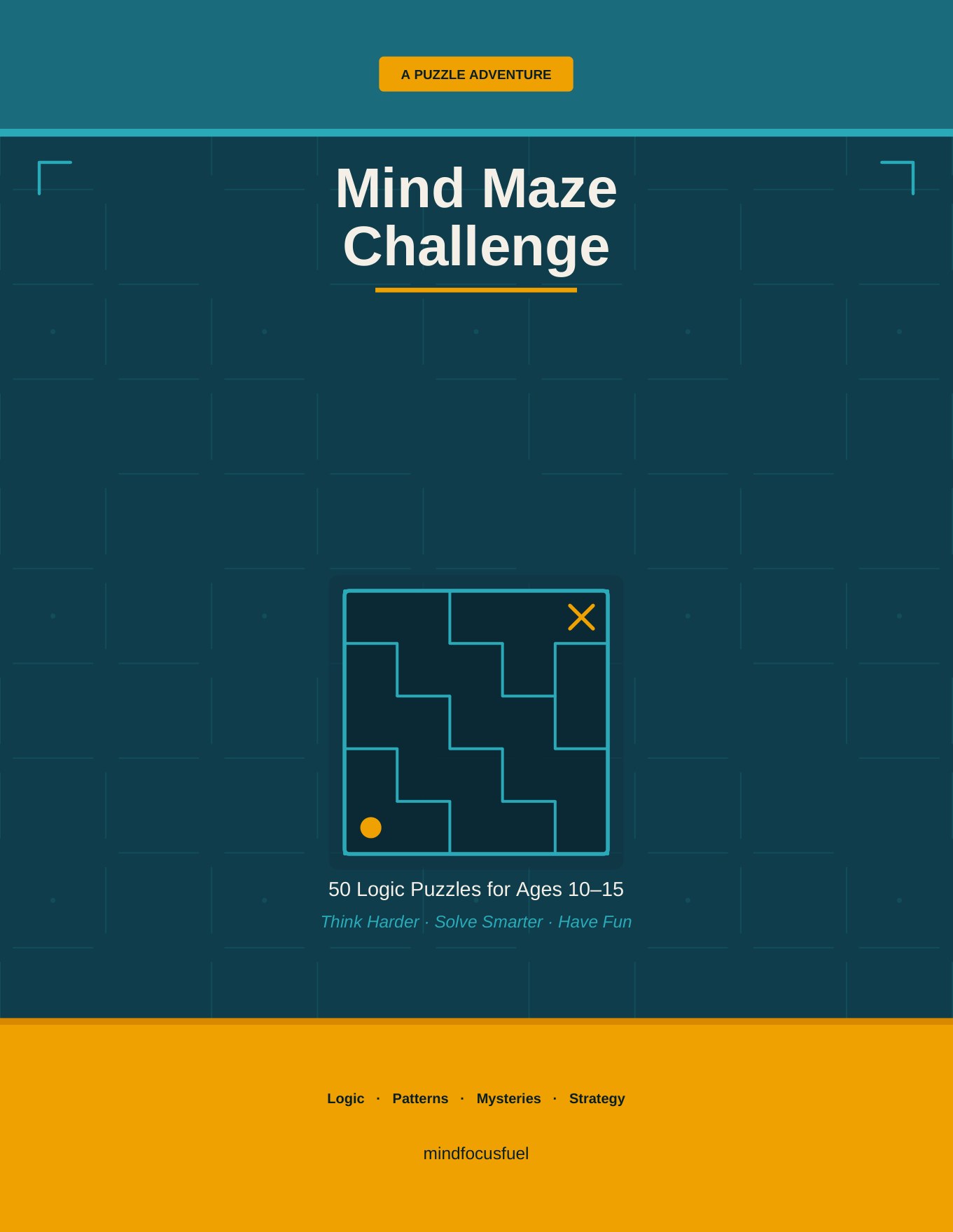 Cover of Mind Maze Challenge